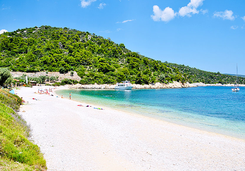 The best beaches on Alonissos. Leftos Gialos beach.