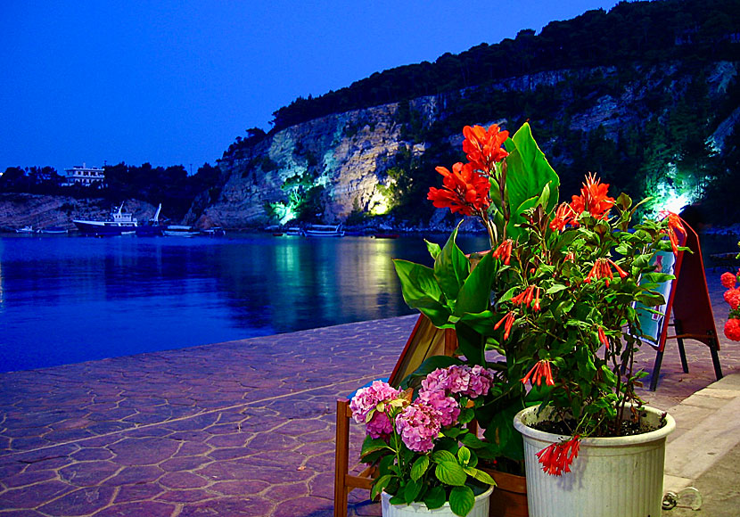 Restaurants in Patitiri. Alonissos.