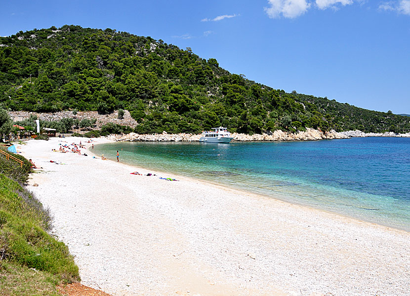 The best beaches on Alonissos. Leftos Gialos beach.
