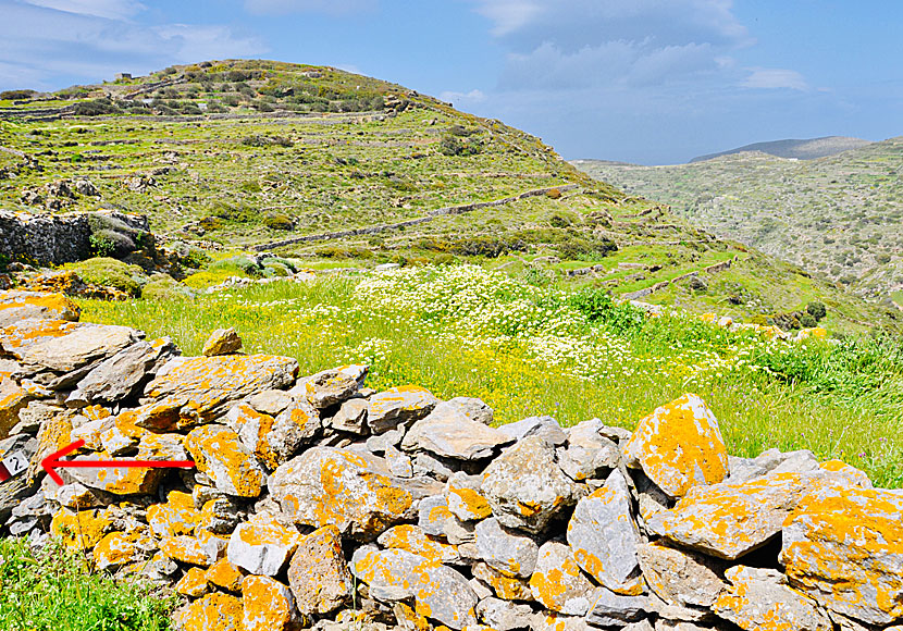 Hike between Chora and Katapola in Amorgos.