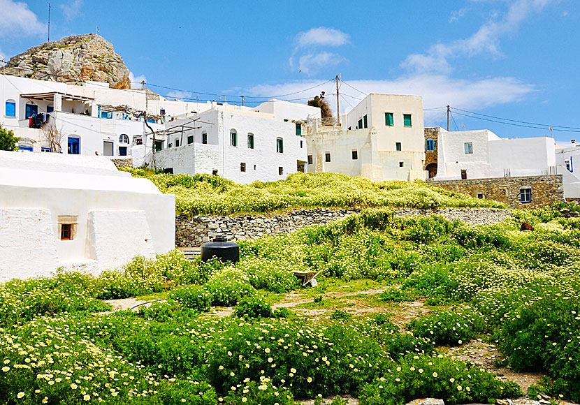 Chora in Amorgos is one of the most beautiful villages in the Cyclades.