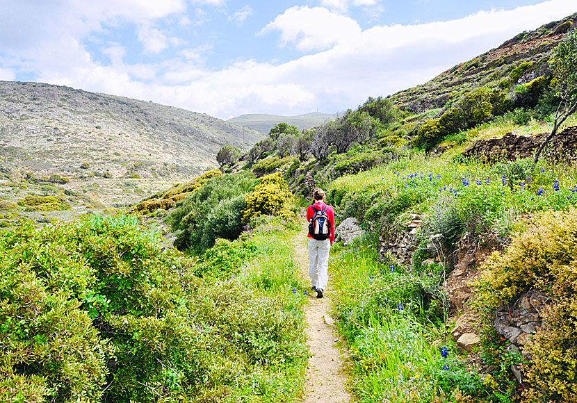 Hike between Katapola and Chora on Amorgos in the Cyclades.