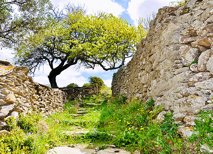 The old path that connected Katapola and Chora before the road was built.