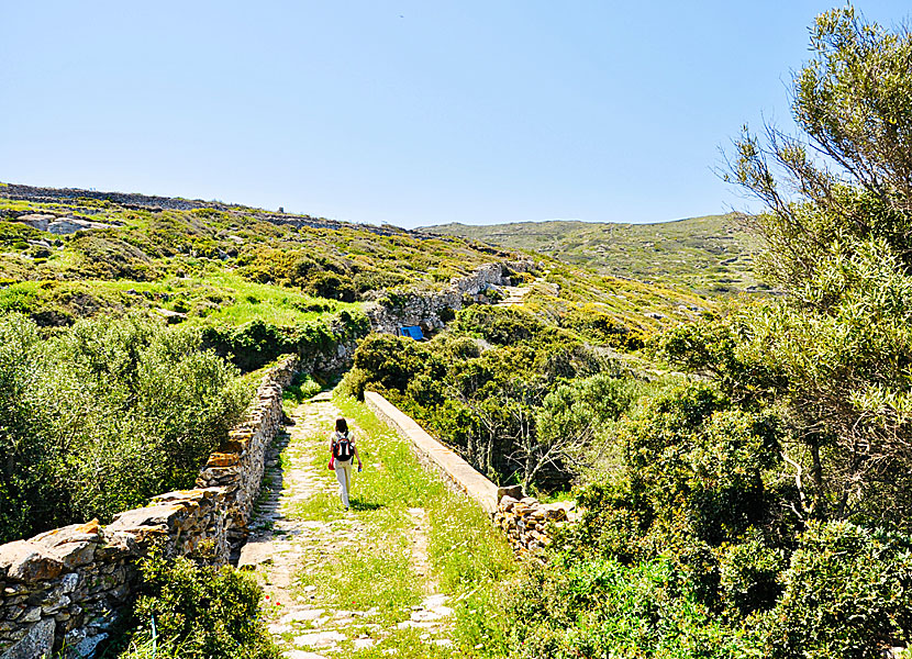 On a hike along the old donkey path between Vroutsi to Arkesini.