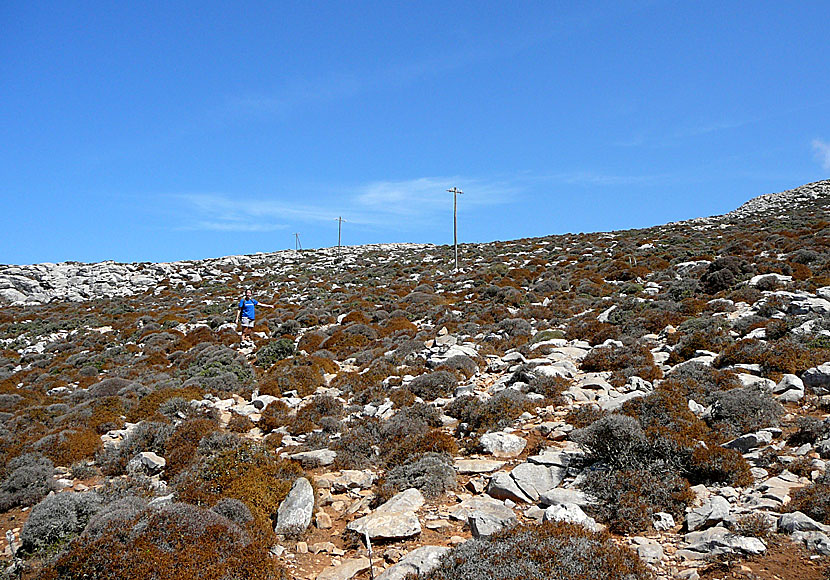 Hiking. Amorgos. Profitis Ilias.