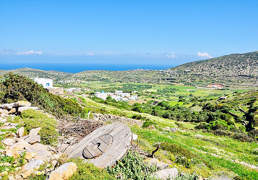Hike between the villages of Rachoula, Arkesini, Kalofana and Kalotaritissa on southern Amorgos.