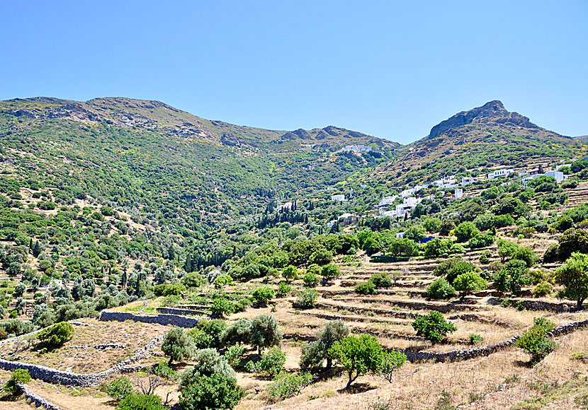 The village of Aladino on the right, the Monastery of Panachrantos just above.