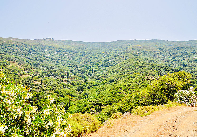 The village of Arni on Andros is located about 450 meters above sea level and has about 70 inhabitants.