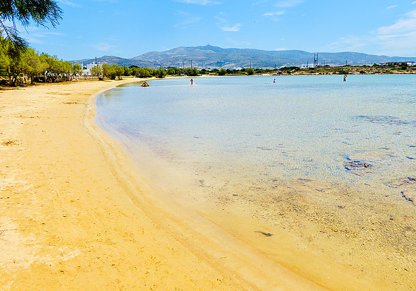 Agios Spiridonas beach on child-friendly Antiparos is perfect for toddlers.
