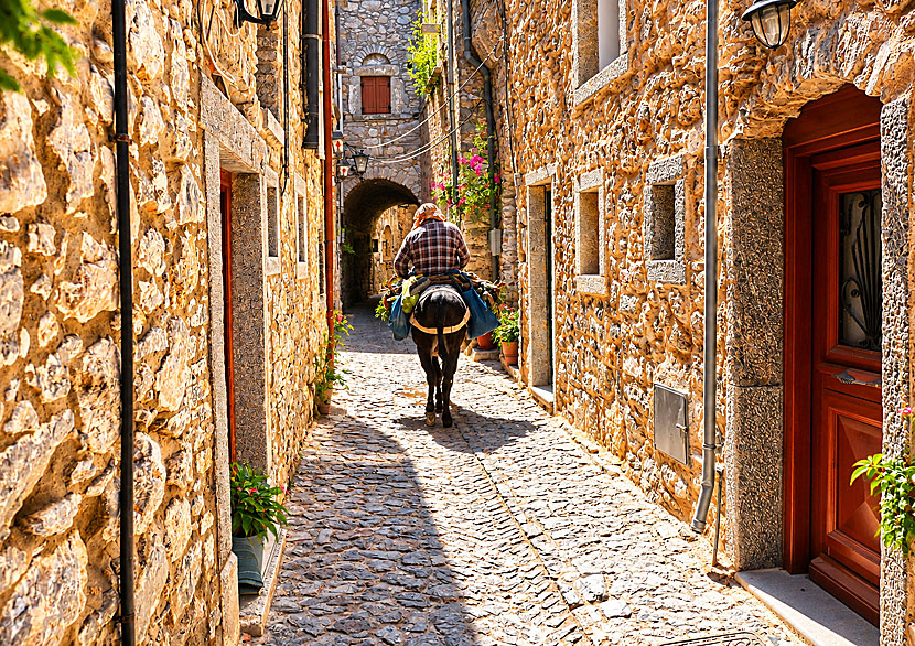 In Mesta, it feels as time has stood still and transport is carried out using donkeys.