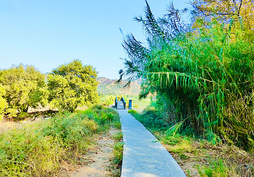 The walkway that runs along Agia Lake in Crete.