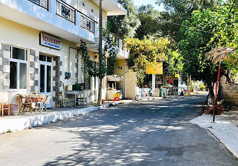 Alfa Café and Rooms in Azogires north of Paleochora in southern Crete.