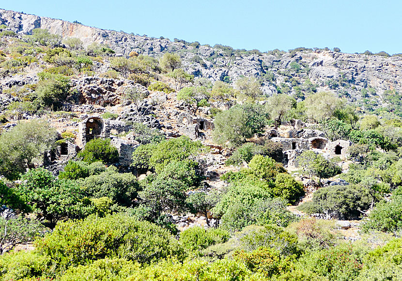 Remains of the ancient city of Lissos in Crete.