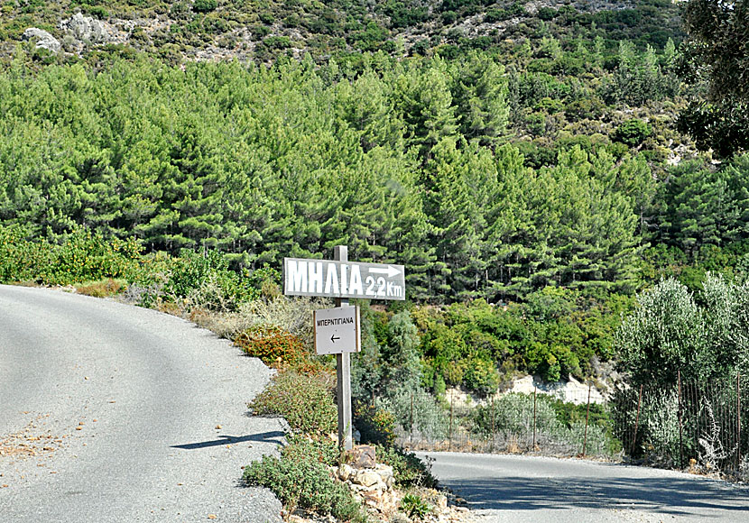 The road to Milia in Chania County on Crete is in good condition except for the last few kilometres.
