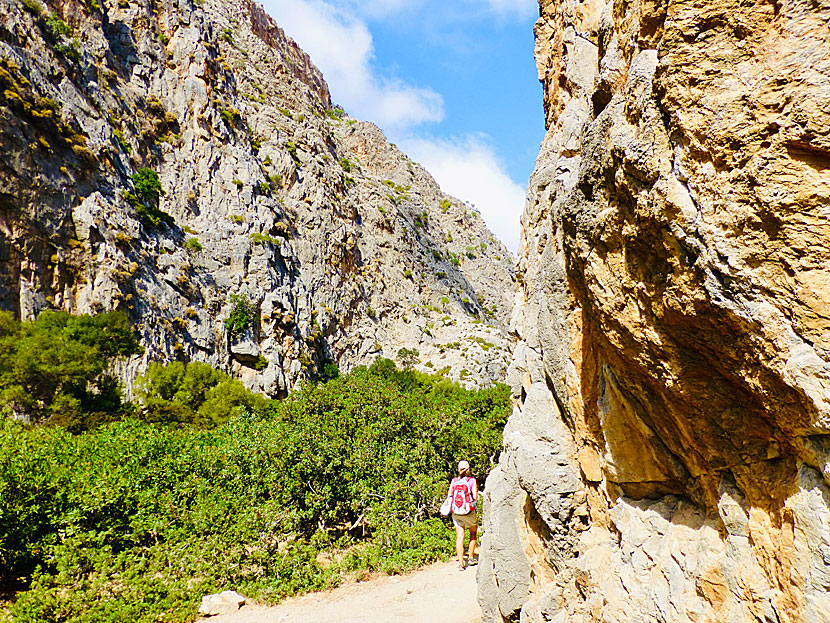 Hike in the Agiofarago gorge south of Zaros in Crete.