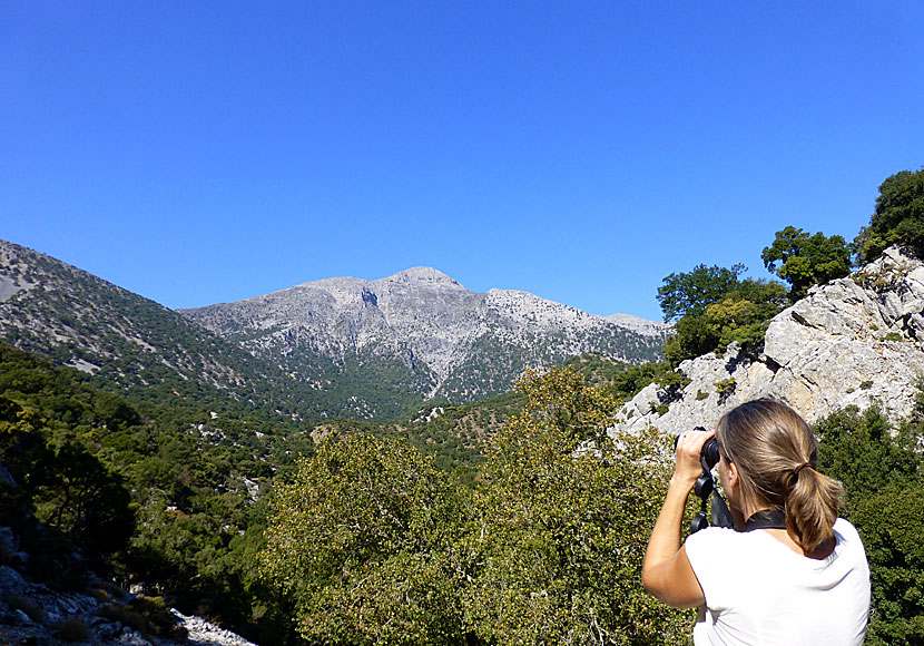 Mount Psiloritis, also known as Mount Ida, as seen from Rovas gorge in Crete.