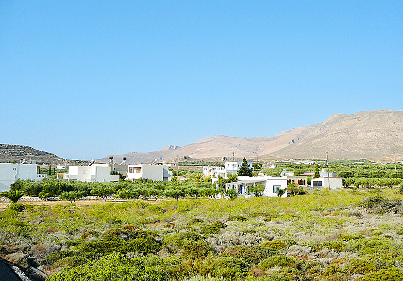 Xerokambos in eastern Crete is spread out in a low landscape with many olive trees.