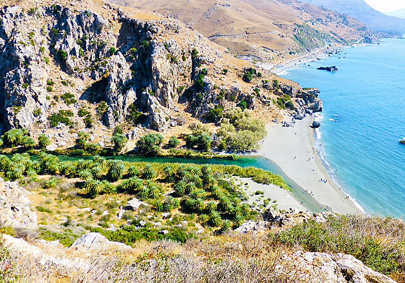 Preveli is one of the most famous beaches in Rethymnon on Crete.