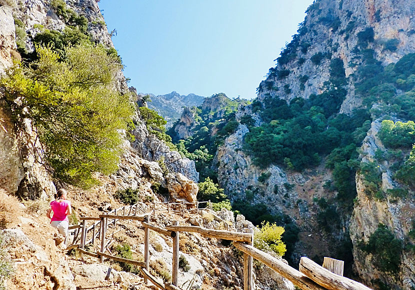 The Platania Gorge in Crete is known for its rich bird life and is suitable for you who are bird watchers.