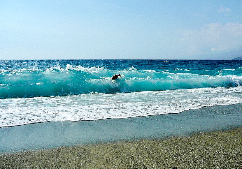 Belly surfing and windsurfing and kitesurfing on the beaches of Triopetra and Agios Pavlos in Crete.