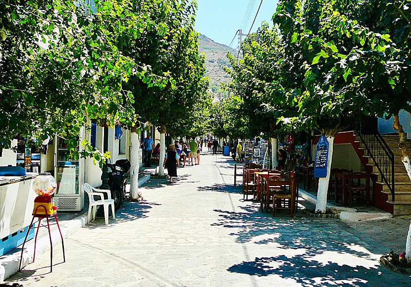 The main street of Fourni is lined with shops, taverns and mulberry trees.