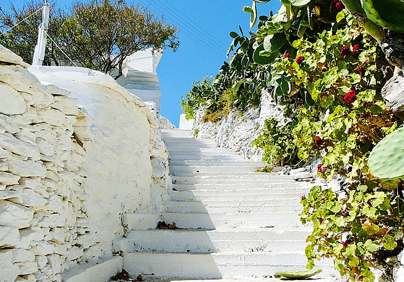 There are 232 steps to Kambi beach on Fourni in Greece. 