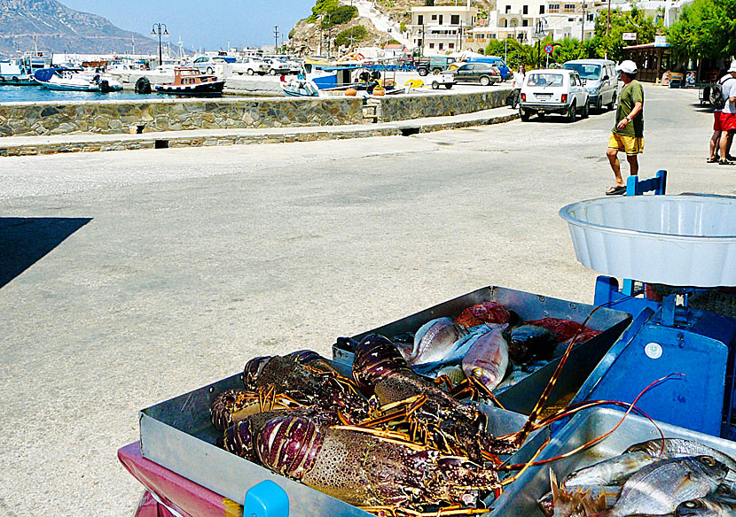 Take the opportunity to eat fresh seafood when you visit Fourni island.