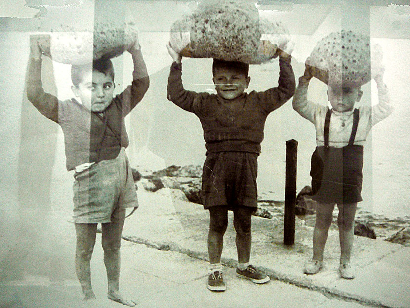Old photographs of washing sponges in the Valsamidis Sea World Museum.