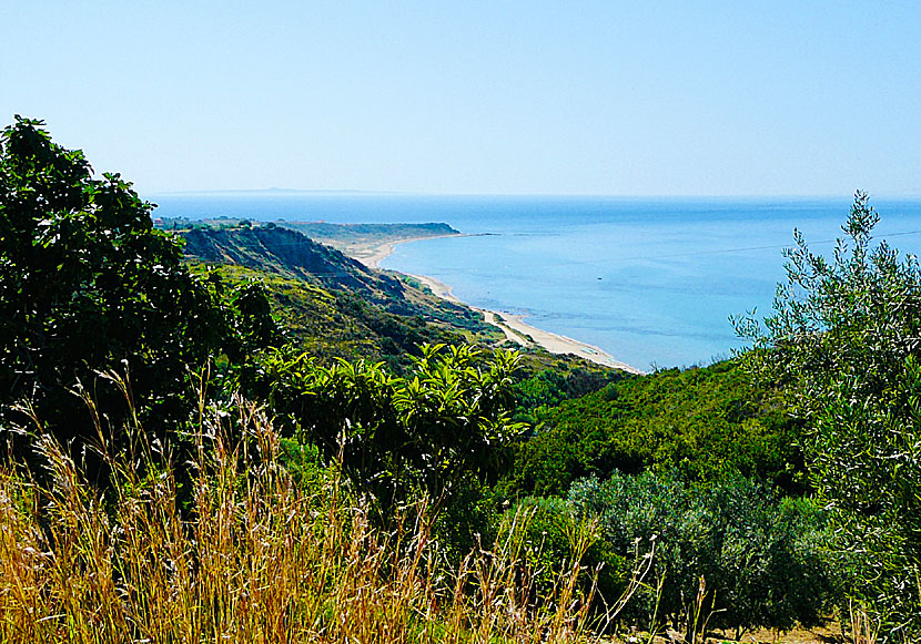 The long sandy beach Kaminia is located west of Kato Katelios beach in Kefalonia.