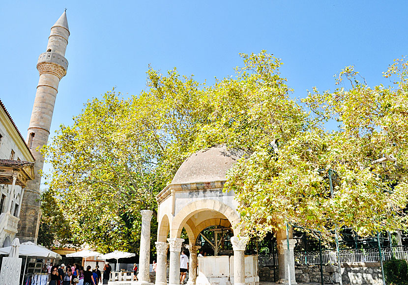 Hippocrates tree and the Ottoman fountain in Kos Town.