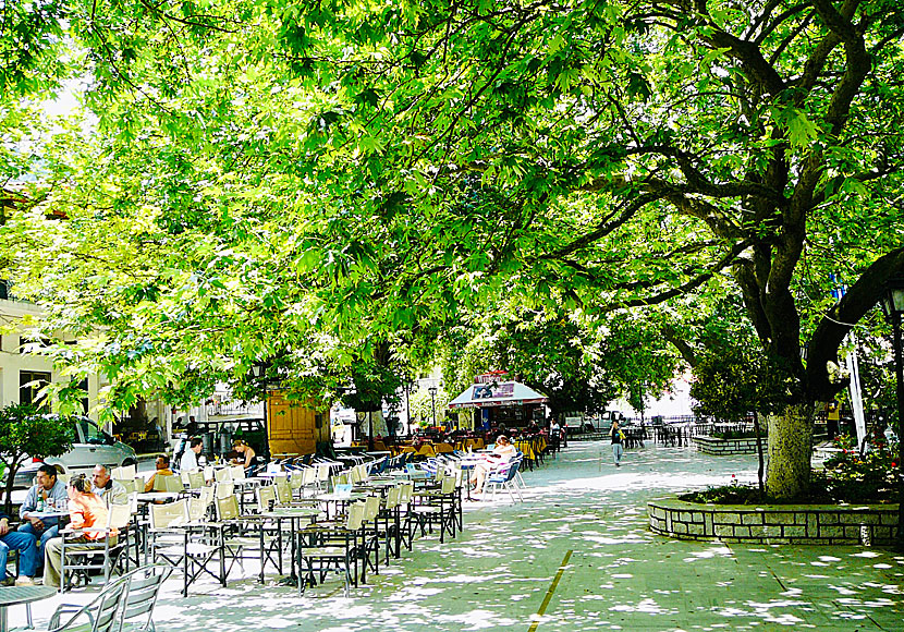 In the huge square of Karia there are many tavernas and cafes.
