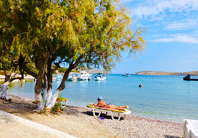 There are both shady tamarisk trees and sunbeds on Blefoutis beach on Leros.
