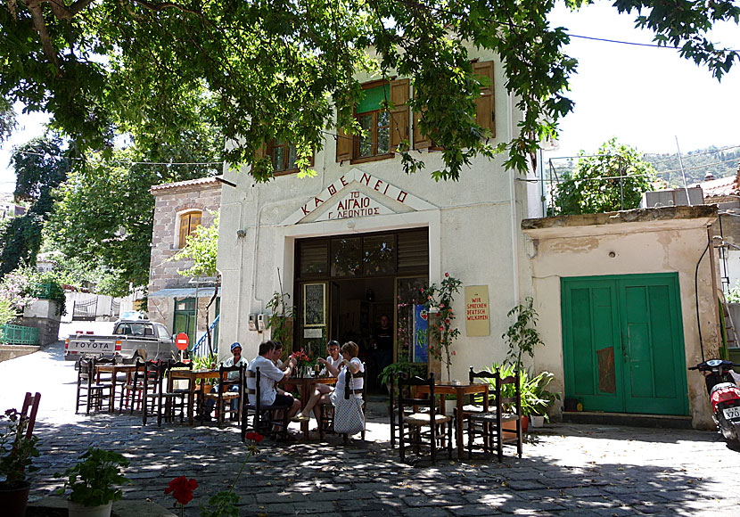 Café in Antissa. Lesvos.