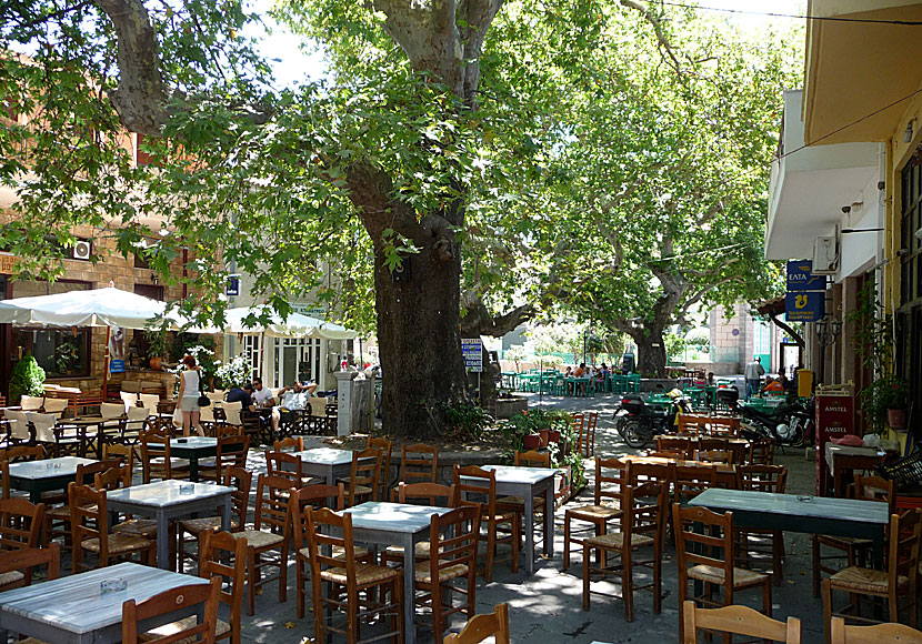 The square in Antissa with many reataurants and cafes.  Lesvos.