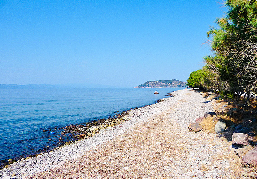 Kagia beach close to Skala Sikaminias in Lesvos.