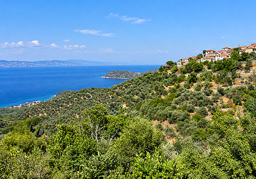 The harbour village of Skala Sykamineas to the left and the village of Sykaminea to the right.