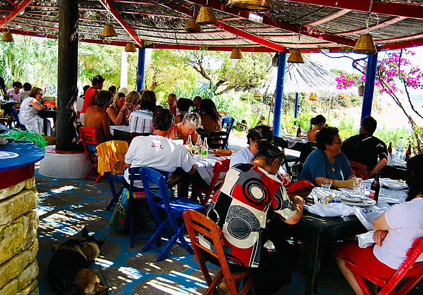 Dilaila Restaurant is one of the best tavernas in Lipsi.