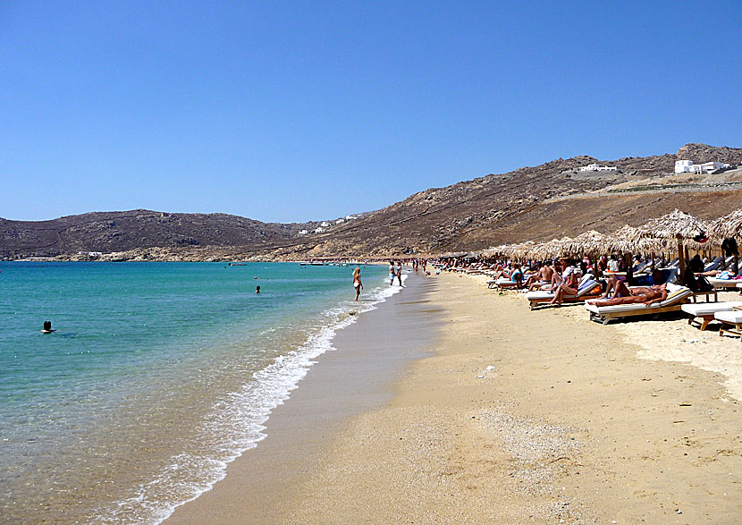The best beaches on Mykonos. Elia beach.