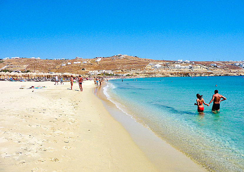 Kalo Livadi is one of Mykonos' many fantastic sandy beaches.