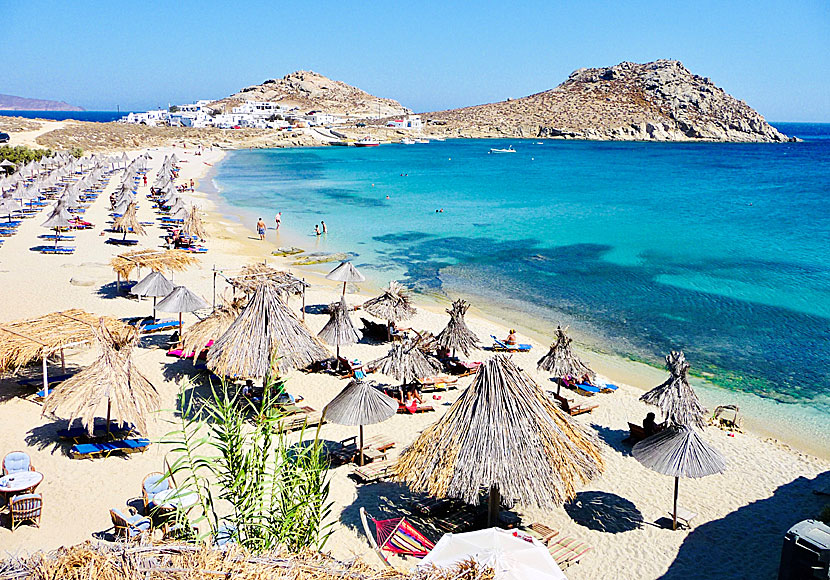 The best beaches on Mykonos. Agia Anna beach.