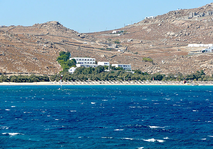 The sunbeds on Mykonos are the most expensive in the entire Greek islands.