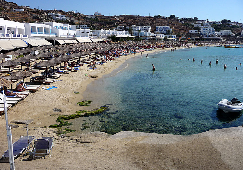 The best beaches on Mykonos. Platis Gialos beach.