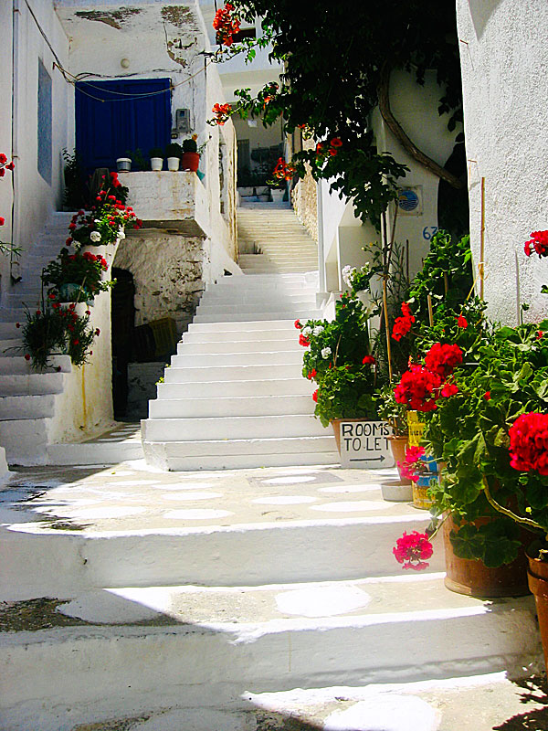 Good hotels and pensions in Apollonas on Naxos.