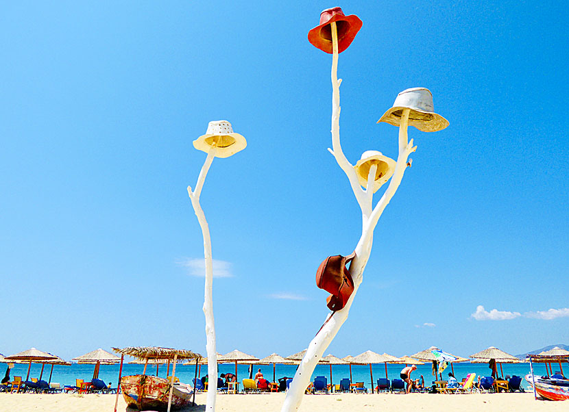 The famous hat tree at Plaka beach on Naxos.