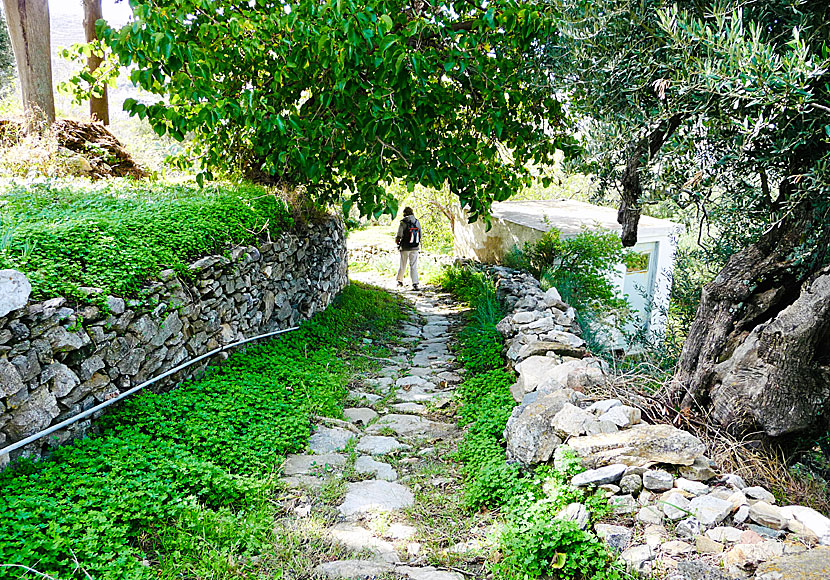 Hike between the villages of Melanes and Kourounochori in Naxos.