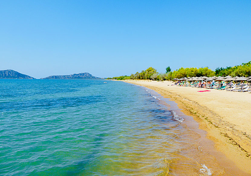 Gialova beach north of Pylos on the Peloponnese in Greece.