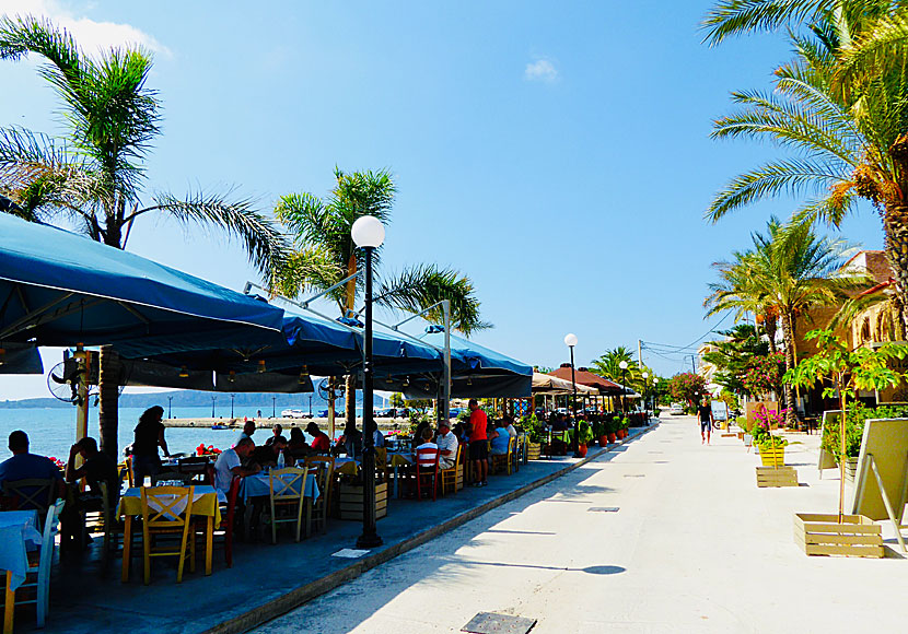 Along the cozy promenade of Gialova on the Peloponnese peninsula there are many good restaurants.