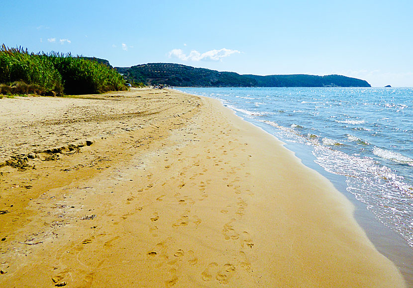 If you live in Finikounda or Methoni in the Peloponnese, I can recommend you to visit the long sandy beach of Lampes.