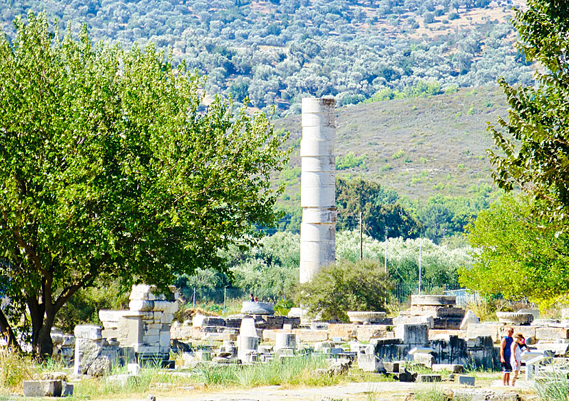 During the heyday, Hera's temple was supported by more than 100 columns.