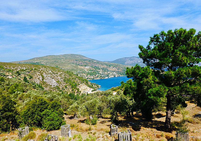 The very beautiful landscape of eastern green Samos where Kerveli beach is located.